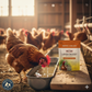 Durvet Layer Boost Omega-3 Poultry 4g 40-Pack Vitamins Electrolytes Laying Hens