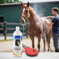 Horse Grooming Bundle Davis Scruffy Shampoo 32oz and Mane & Tail Brush