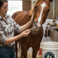 Merial Zimecterin Gold Dewormer Paste Horses 7.35g Treats Tapeworms Bots 1250 lb