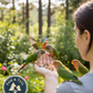 Higgins Vita Seed Conure & Lovebird Food 2.5 lb Premium Seed Blend Probiotics DHA