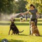 Halt II Dog Repellent Spray 1.5 oz Extra Strong Capsaicin Dog Deterrent 6-Pack