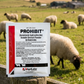 AgriLabs Prohibit Soluble Drench Powder for Cattle & Sheep 52g