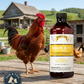 Rooster Booster Liquid B-12 Plus Vitamin K for All Poultry Supplement 16 oz.