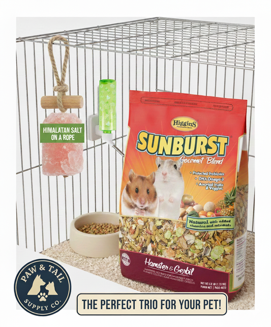 Hamster & Gerbil Bundle Sunburst Higgins Food + Lixit Bottle + Ware Salt Rope Trio Pack