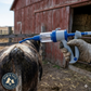 Durvet Cattle Pour-On Applicator Gun Adjustable Livestock Doser 70mL