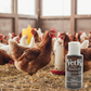 Complete Poultry Health & Hydration Super Bundle – 3 Gallon Drinkers + Vitamins + Oregano + Pick-No-More + VetRx