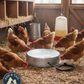 Little Giant Water Heater Base for Poultry 110W Freeze Prevention Metal Fount