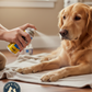Durvet AluShield Aerosol Bandage 2.6oz Water-Resistant Animal Wound Spray