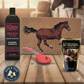 Horse Grooming & Stable Bundle Micro-Tek Shampoo, Grooming Brush, Muffins & Mat
