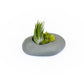Sets of 3, 6 or 9 Gray Ceramic Stone Tillandsia Air Plant Holder