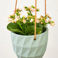 Virago Modern Hanging Planter- Grid
