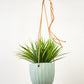 Virago Modern Hanging Planter- Waves