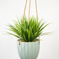 Virago Modern Hanging Planter- Waves