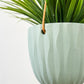 Virago Modern Hanging Planter- Waves
