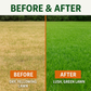 Green Envy - Lawn Turf Superfood