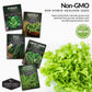 Greens Seeds Collection – 5 Heirloom Leafy Superfoods for Year-Round Growing Indoors or Outdoors
