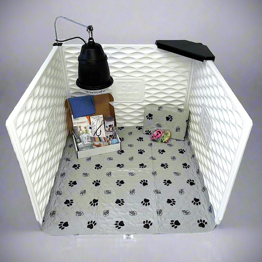 Paquetes - Set Esencial EZclassic