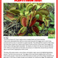 Fred 'The Ferocious' Flytrap Micro Dome Terrarium