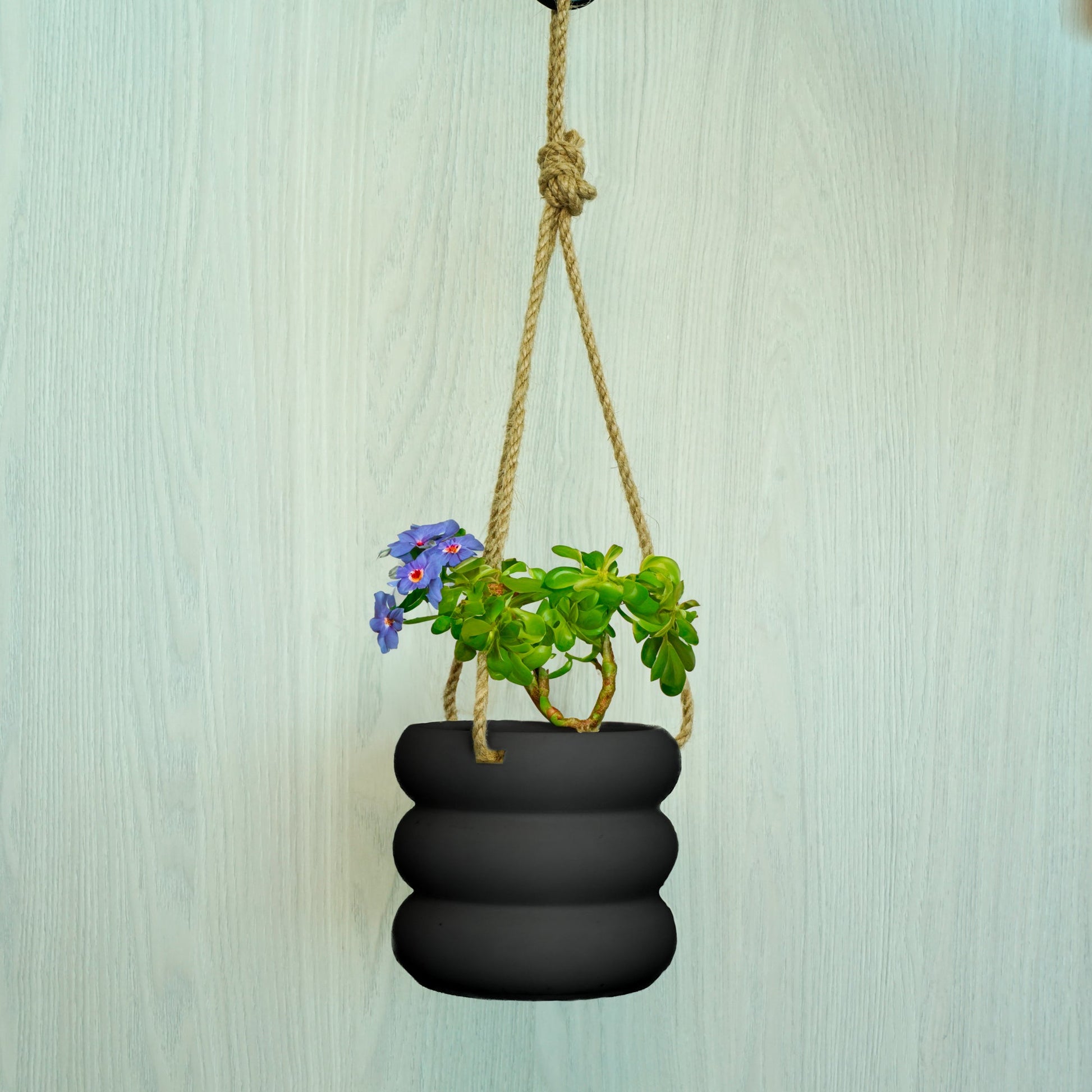 hanging bubble plant Hanging Bubble Plant Pot Green / 6 Inch + Drainage
