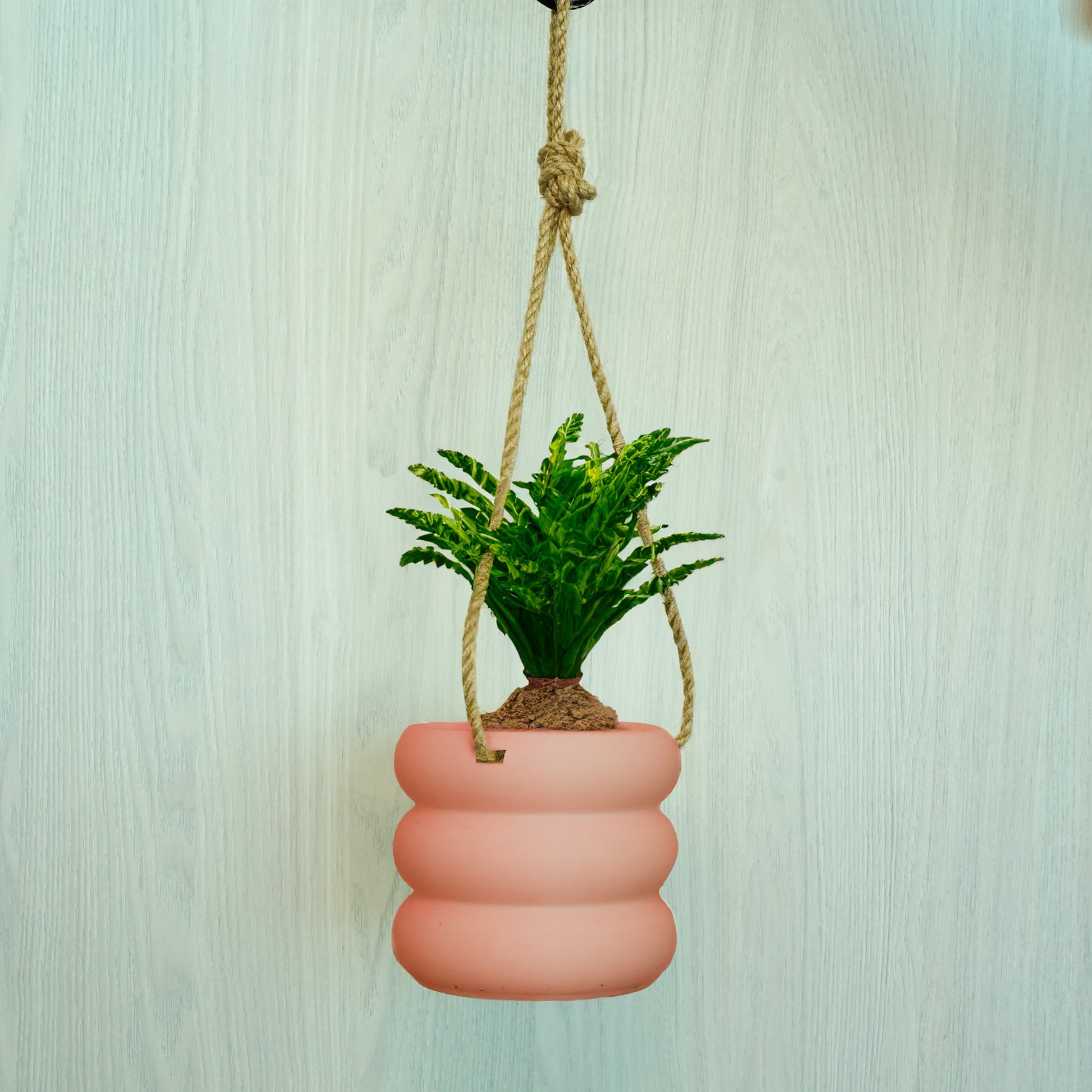 Hanging Bubble Plant Pot Green / 6 Inch + Drainage