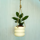 Hanging Bubble Plant Pot