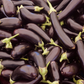 Long Purple Eggplant Seeds