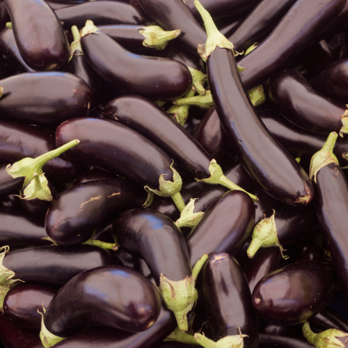 Long Purple Eggplant Seeds