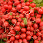 Cherry Belle Radish Seeds