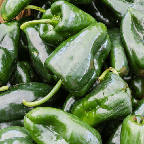 Poblano Pepper Seeds