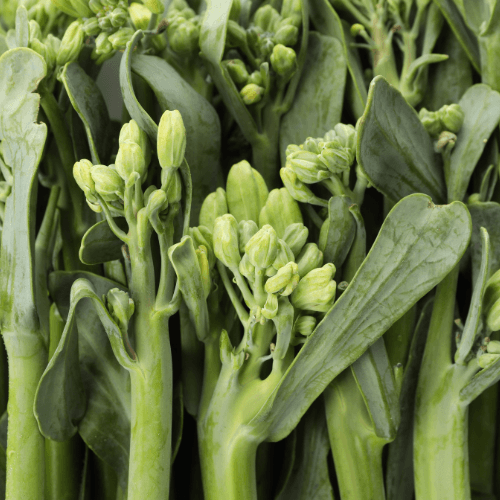 Broccolini Seeds