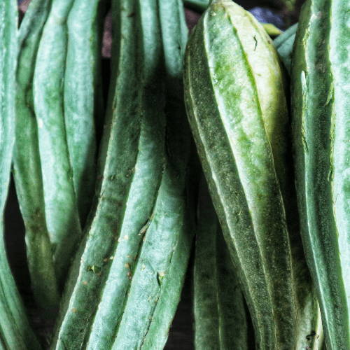 Luffa Sponge Seeds