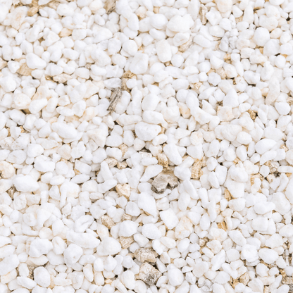 Perlite 10 oz.