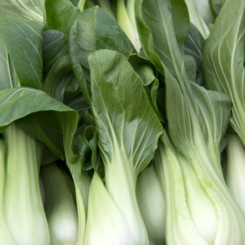 White Stem Pak Choi Cabbage Seeds
