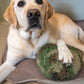 HuggleCause™, Warrior Canine Connection, Camouflage HuggleFleece® Plush Ball Dog Toy