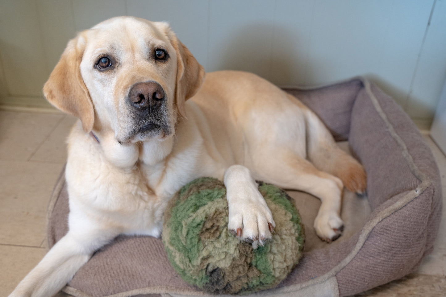 HuggleCause™, Warrior Canine Connection, Camouflage HuggleFleece® Plush Ball Dog Toy