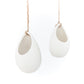 Set of 3 or 6 Large Ivory Ceramic Vases with Tillandsia Harrisii, Sparkler, & Caput Medusae Air Plants