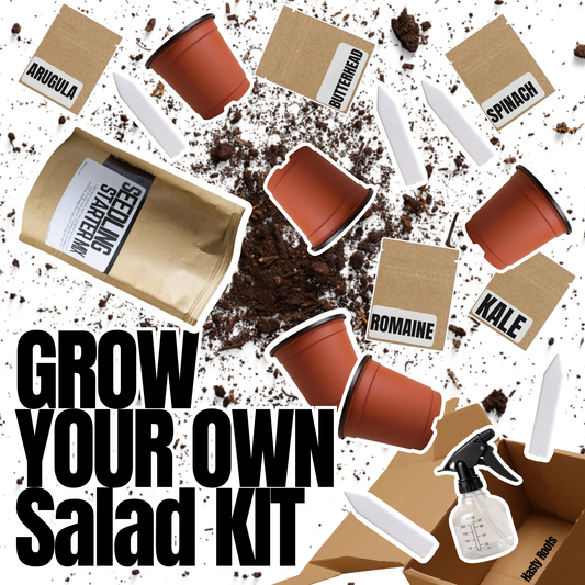 Grow your own Salad Kit
