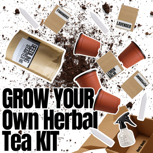 Grow Your Own Herbal Tea Kit