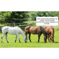 Hay & Pasture Formula - Organic Pasture Fertilizer with Humic Acid & Fulvic Acid