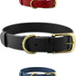 Heavy Duty Waterproof Dog Collar Metal Buckle Odor Proof XS–L (all colors)