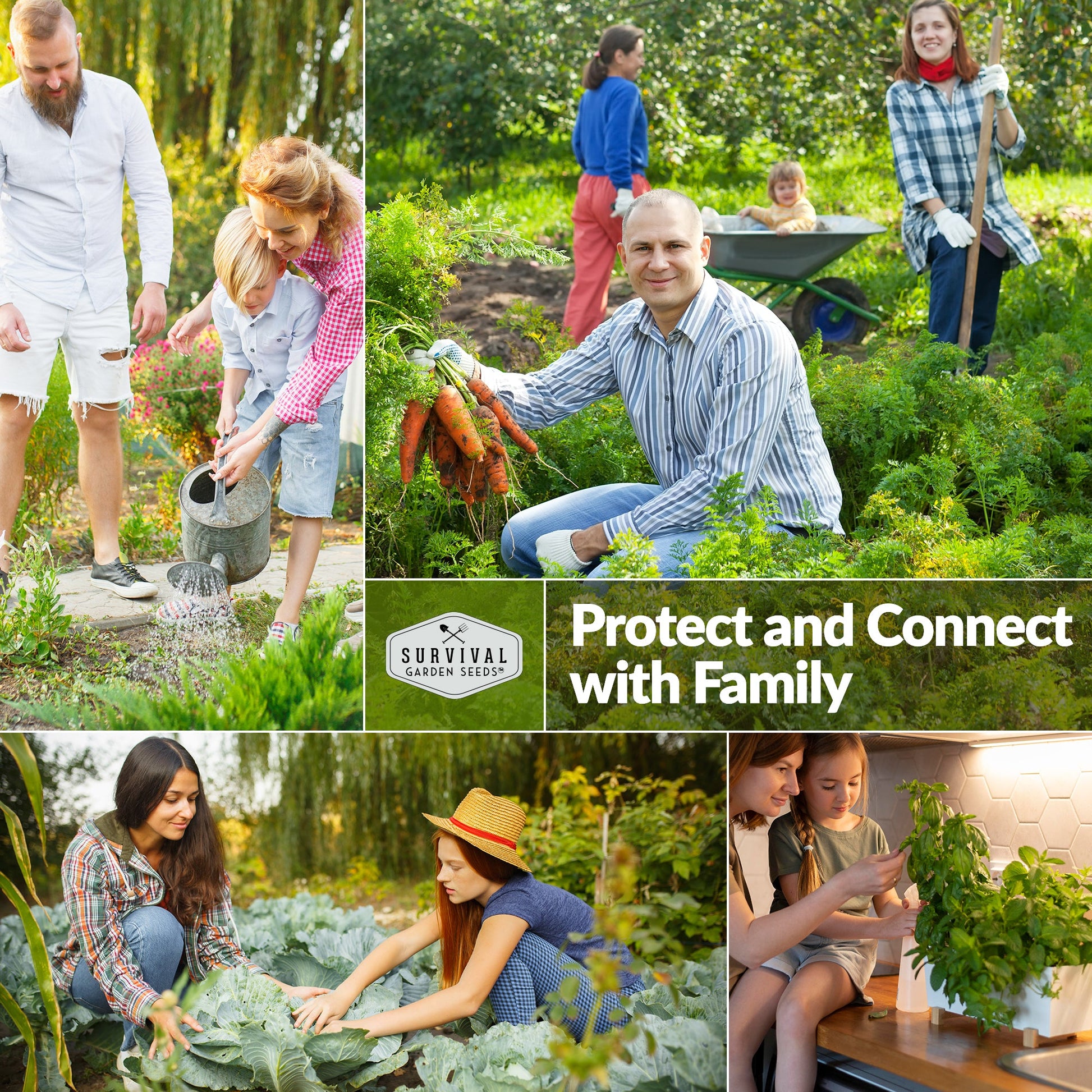 home vegetable garden seeds 20 Vegetable Starter Heirloom Seeds