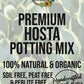 Hosta Premium Potting Mix