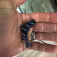 Chindongo demasoni  Demasoni Cichlid
