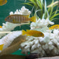 Chindongo saulosi Mbuna German Blood (Juveniles 2")