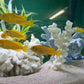 Chindongo saulosi Mbuna German Blood (Juveniles 2")