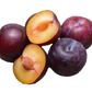 5 AMERICAN PLUM Prunus Americana Red Purple Fruit White Flower Shrub Tree Seeds