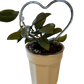 Self Watering Pots 4" Ivory