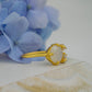 The Bloom Ring - Gold