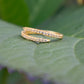 Serpentine Wrap Ring - Gold