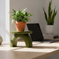 Arch Plant Stand